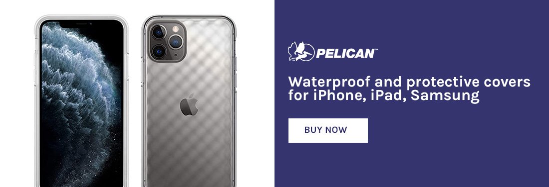 pelican